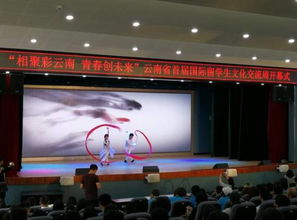 彩云之南喜迎五洲客，多元文化共繪同心圓——云南省首屆國際留學(xué)生文化交流周開幕